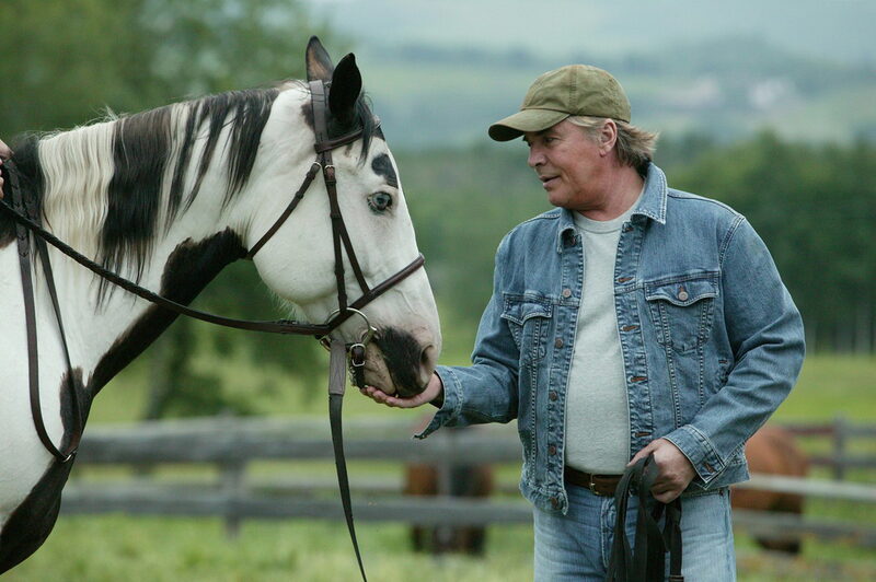 Ein Pferd Für Moondance Ein Pferd Für Moondance